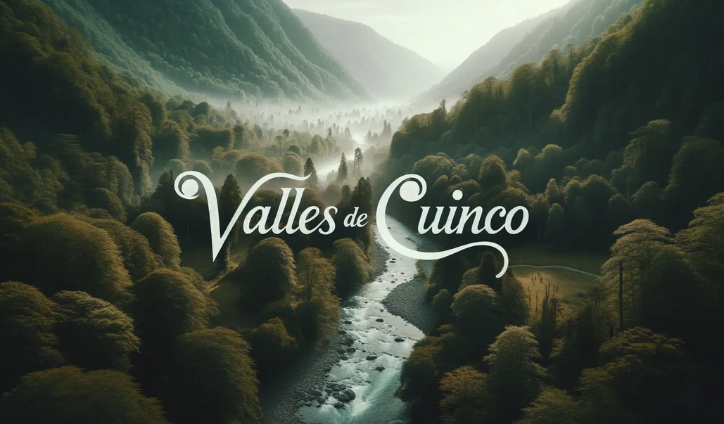 Proyecto vallesdecuinco